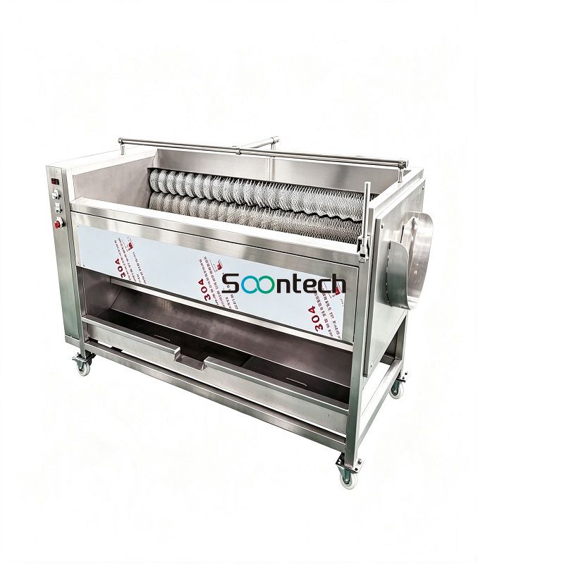 Brush Roller Cleaning & Peeling Machine
